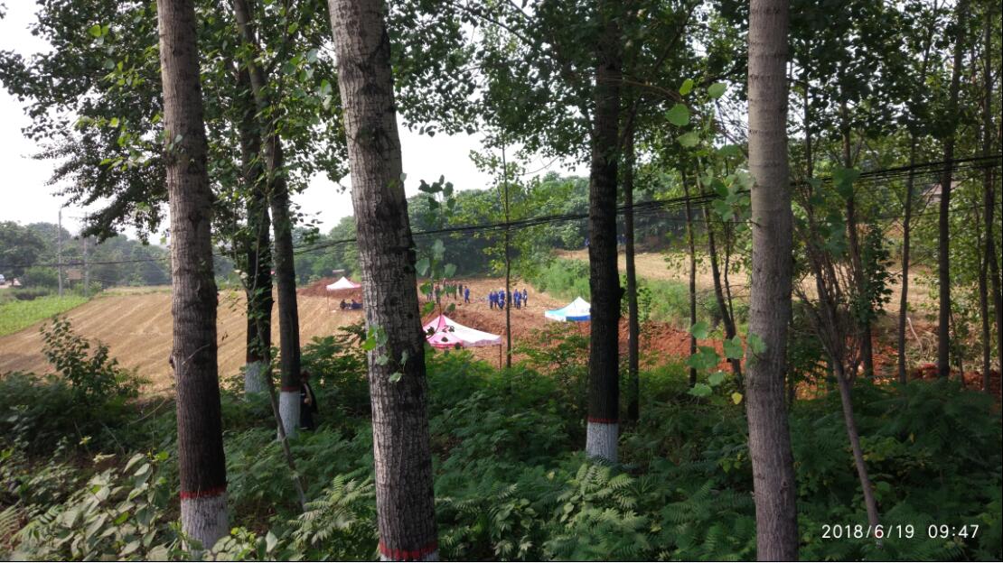 1531281091139818.jpg 1.jpg